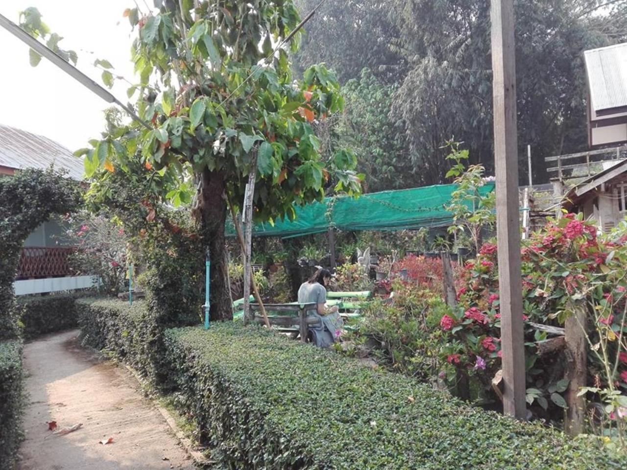 Mr Jan Guesthouse ปาย ภายนอก รูปภาพ